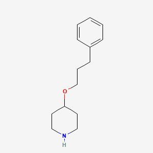 molecular formula C14H21NO B13271670 4-(3-Phenylpropoxy)piperidine 