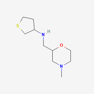 molecular formula C10H20N2OS B13271703 N-[(4-methylmorpholin-2-yl)methyl]thiolan-3-amine 