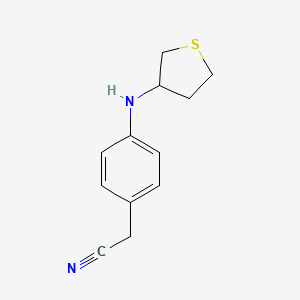 molecular formula C12H14N2S B13272089 2-{4-[(Thiolan-3-yl)amino]phenyl}acetonitrile 