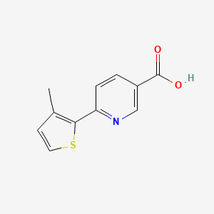 molecular formula C11H9NO2S B13272884 6-(3-Methylthiophen-2-yl)pyridine-3-carboxylic acid 