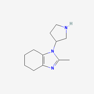 molecular formula C12H19N3 B13273604 2-Methyl-1-(pyrrolidin-3-yl)-4,5,6,7-tetrahydro-1H-1,3-benzodiazole 