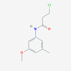 molecular formula C11H14ClNO2 B13274502 3-Chloro-N-(3-methoxy-5-methylphenyl)propanamide 