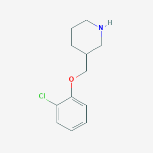 molecular formula C12H16ClNO B13276537 3-(2-Chlorophenoxymethyl)piperidine 