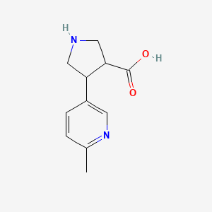 molecular formula C11H14N2O2 B13277826 4-(6-Methylpyridin-3-yl)pyrrolidine-3-carboxylic acid 