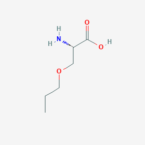 molecular formula C6H13NO3 B13277843 (2S)-2-amino-3-propoxypropanoic acid 