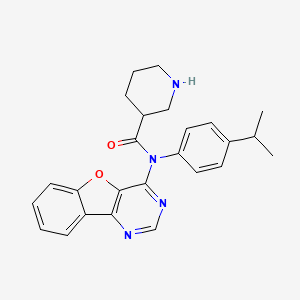 molecular formula C25H26N4O2 B13277890 N-([1]benzofuro[3,2-d]pyrimidin-4-yl)-N-(4-propan-2-ylphenyl)piperidine-3-carboxamide 