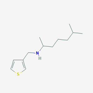 molecular formula C13H23NS B13278094 (6-Methylheptan-2-yl)(thiophen-3-ylmethyl)amine 