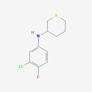 molecular formula C11H13ClFNS B13278192 N-(3-chloro-4-fluorophenyl)thian-3-amine 