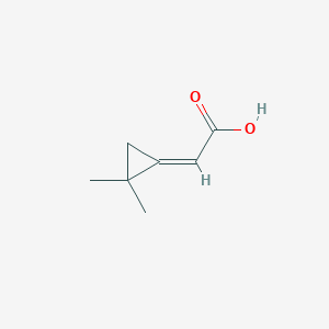 molecular formula C7H10O2 B13278510 2-(2,2-Dimethylcyclopropylidene)acetic acid 