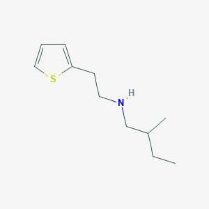molecular formula C11H19NS B13278550 (2-Methylbutyl)[2-(thiophen-2-yl)ethyl]amine 