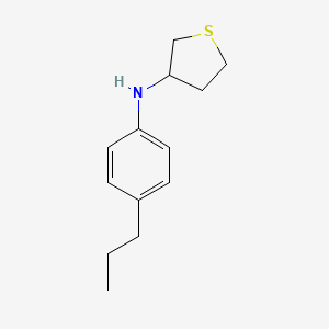 molecular formula C13H19NS B13278918 N-(4-propylphenyl)thiolan-3-amine 