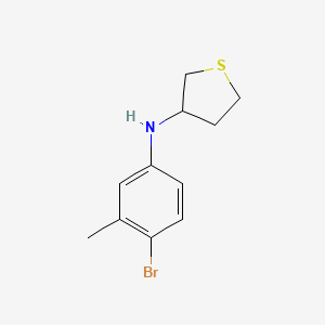 molecular formula C11H14BrNS B13278921 N-(4-bromo-3-methylphenyl)thiolan-3-amine 