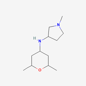 molecular formula C12H24N2O B13278923 N-(2,6-Dimethyloxan-4-yl)-1-methylpyrrolidin-3-amine 