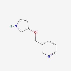 molecular formula C10H14N2O B13278988 3-[(Pyrrolidin-3-yloxy)methyl]pyridine 