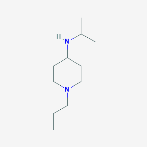 molecular formula C11H24N2 B13279056 N-(Propan-2-yl)-1-propylpiperidin-4-amine 