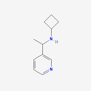 molecular formula C11H16N2 B13279061 N-[1-(pyridin-3-yl)ethyl]cyclobutanamine 