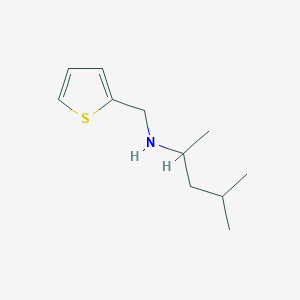 molecular formula C11H19NS B13279609 (4-Methylpentan-2-yl)(thiophen-2-ylmethyl)amine 