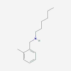 molecular formula C14H23N B13279620 Hexyl[(2-methylphenyl)methyl]amine 
