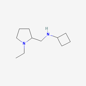 molecular formula C11H22N2 B13279861 N-[(1-ethylpyrrolidin-2-yl)methyl]cyclobutanamine 
