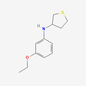 molecular formula C12H17NOS B13280035 N-(3-ethoxyphenyl)thiolan-3-amine 