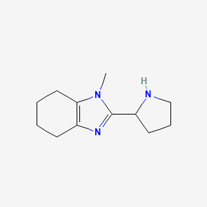 molecular formula C12H19N3 B13280042 1-Methyl-2-(pyrrolidin-2-yl)-4,5,6,7-tetrahydro-1H-1,3-benzodiazole 