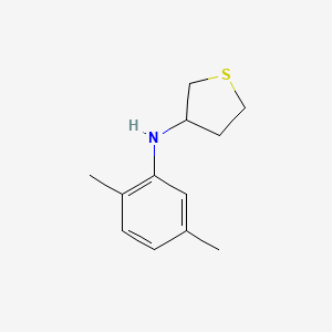 molecular formula C12H17NS B13280226 N-(2,5-dimethylphenyl)thiolan-3-amine 