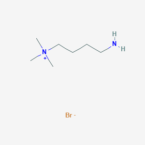molecular formula C7H19BrN2 B13280596 (4-Aminobutyl)trimethylazanium bromide 
