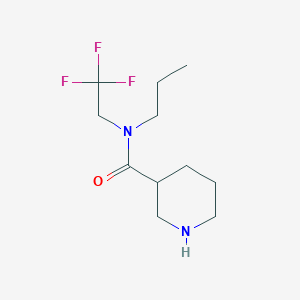 molecular formula C11H19F3N2O B13281062 N-propyl-N-(2,2,2-trifluoroethyl)piperidine-3-carboxamide 