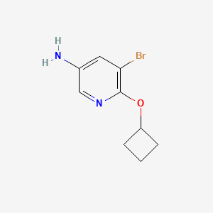 molecular formula C9H11BrN2O B13281233 5-Bromo-6-cyclobutoxypyridin-3-amine 