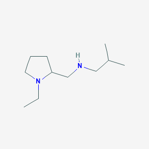 molecular formula C11H24N2 B13281522 [(1-Ethylpyrrolidin-2-YL)methyl](2-methylpropyl)amine 