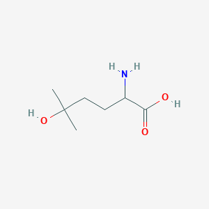 molecular formula C7H15NO3 B13281625 2-Amino-5-hydroxy-5-methylhexanoic acid 