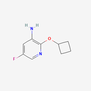 molecular formula C9H11FN2O B13281757 2-Cyclobutoxy-5-fluoropyridin-3-amine 