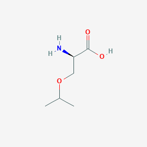 molecular formula C6H13NO3 B13281949 (2R)-2-amino-3-(propan-2-yloxy)propanoic acid 
