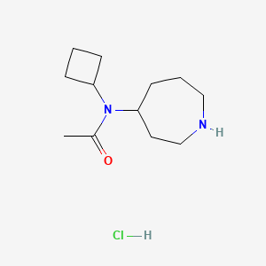molecular formula C12H23ClN2O B13283191 N-(Azepan-4-yl)-N-cyclobutylacetamide hydrochloride 
