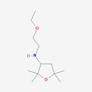 molecular formula C12H25NO2 B13284040 N-(2-Ethoxyethyl)-2,2,5,5-tetramethyloxolan-3-amine 