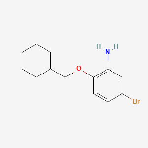 molecular formula C13H18BrNO B1328418 5-bromo-2-(cyclohexylmethoxy)aniline CAS No. 946664-78-4