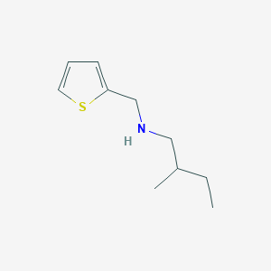 molecular formula C10H17NS B13284290 (2-Methylbutyl)(thiophen-2-ylmethyl)amine 