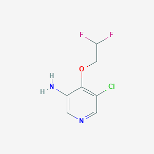 molecular formula C7H7ClF2N2O B13284376 5-Chloro-4-(2,2-difluoroethoxy)pyridin-3-amine 