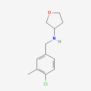 molecular formula C12H16ClNO B13284803 N-[(4-Chloro-3-methylphenyl)methyl]oxolan-3-amine 