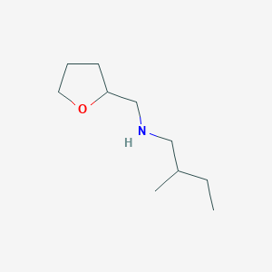 molecular formula C10H21NO B13284935 (2-Methylbutyl)(oxolan-2-ylmethyl)amine 