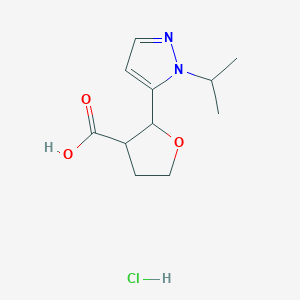 molecular formula C11H17ClN2O3 B13285738 2-[1-(Propan-2-yl)-1H-pyrazol-5-yl]oxolane-3-carboxylic acid hydrochloride 