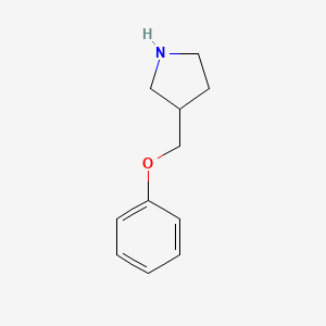 molecular formula C11H15NO B13285919 3-(Phenoxymethyl)pyrrolidine 