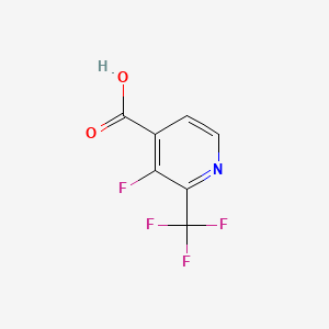 molecular formula C7H3F4NO2 B1328602 3-Fluoro-2-trifluoromethyl-isonicotinic acid CAS No. 886510-09-4