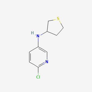 molecular formula C9H11ClN2S B13286908 6-chloro-N-(thiolan-3-yl)pyridin-3-amine 