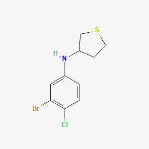 molecular formula C10H11BrClNS B13287869 N-(3-bromo-4-chlorophenyl)thiolan-3-amine 