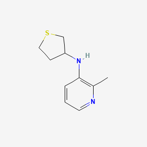 molecular formula C10H14N2S B13291196 2-methyl-N-(thiolan-3-yl)pyridin-3-amine 
