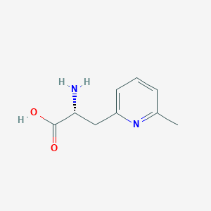 molecular formula C9H12N2O2 B13291350 (2R)-2-amino-3-(6-methylpyridin-2-yl)propanoic acid 