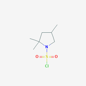 molecular formula C7H14ClNO2S B13292626 2,2,4-Trimethylpyrrolidine-1-sulfonyl chloride 