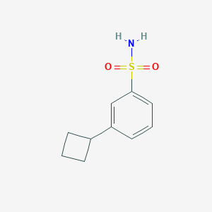 molecular formula C10H13NO2S B13292633 3-Cyclobutylbenzene-1-sulfonamide 