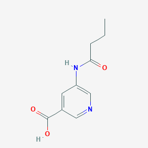 molecular formula C10H12N2O3 B13293177 5-Butyramidonicotinic acid 